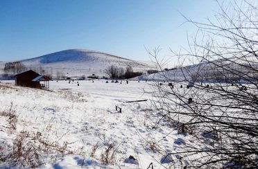 Березов Ключ. Фото 11308.