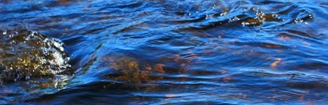 Рыболовные туры на хариуса. Фото 11314.