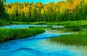 Рыболовные туры на хариуса. Фото 11321.