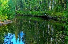 Рыболовные туры на хариуса. Фото 11326.