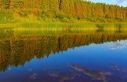 Рыбалка в Архангельской области. Фото 11333.