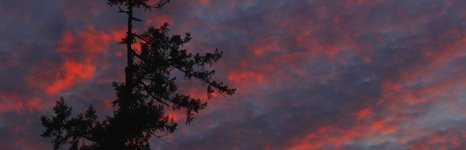 Рыбалка на щуку и хариуса в Архангельской области. Фото 11340.