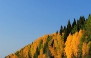 Рыбалка в Архангельской области. Фото 11345.