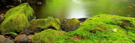 Рыбалка на щуку и хариуса в Архангельской области. Фото 11367.