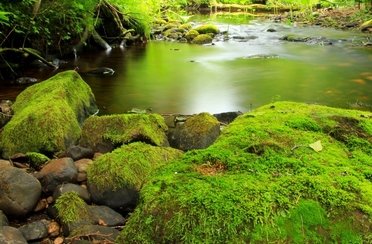 Рыбалка на щуку и хариуса в Архангельской области. Фото 11367.