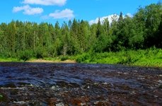 Рыбалка на щуку и хариуса в Архангельской области. Фото 11371.