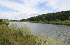 Троица. Фото 1138.