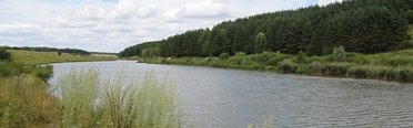 Троица. Фото 1138.