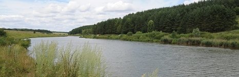 Троица. Фото 1138.