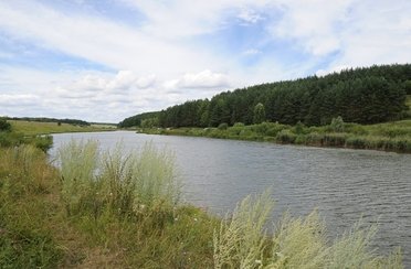 Троица. Фото 1138.