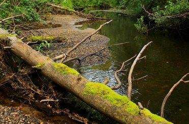 Рыбалка на щуку и хариуса в Архангельской области. Фото 11384.