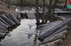 Баркас. Фото 11401.