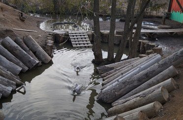 Баркас. Фото 11401.