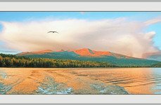 Республика Тува. Верхний Енисей и притоки.. Фото 11464.
