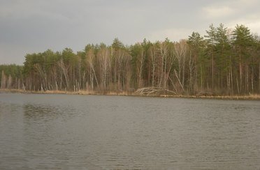 Селькин пруд. Фото 1152.