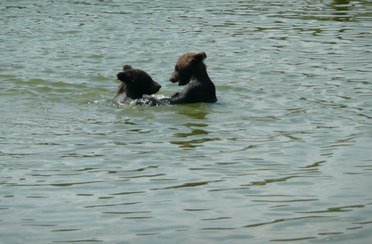 Селькин пруд. Фото 1154.