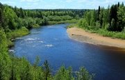 Рыбалка в Архангельской области. Фото 11548.