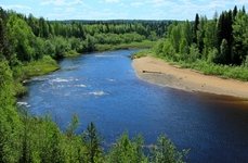 Рыбалка на щуку и хариуса в Архангельской области. Фото 11548.