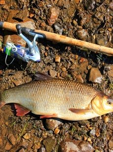 Рыболовные туры на хариуса. Фото 11556.