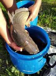 Белый ключ. Фото 11566.