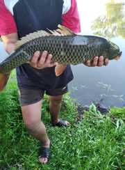 Белый ключ. Фото 11568.