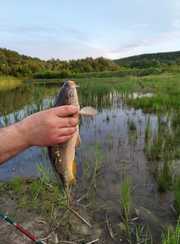Белый ключ. Фото 11569.