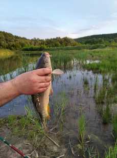 Белый ключ. Фото 11569.