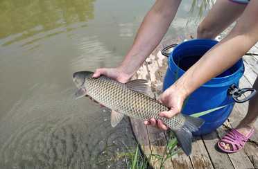 Белый ключ. Фото 11574.
