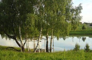 Гуляй-поле. Фото 11583.