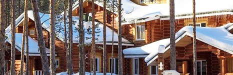 Летняя Золотица. Фото 11594.