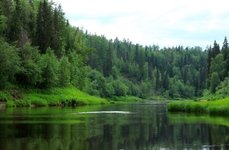 Рыболовные туры на хариуса. Фото 11599.