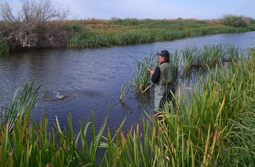 Синяя птица. Фото 1165.