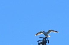 Рыбалка на щуку и хариуса в Архангельской области. Фото 11675.