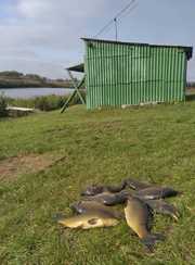 Китаев Пруд. Фото 11682.