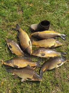 Китаев Пруд. Фото 11683.