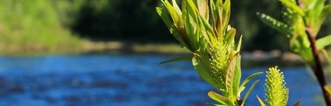 Рыболовные туры на хариуса. Фото 11728.