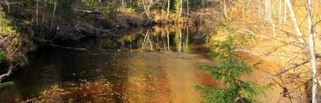 Рыболовные туры на хариуса. Фото 11732.