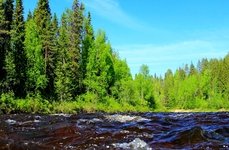 Рыболовные туры на хариуса. Фото 11734.