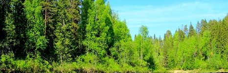 Рыболовные туры на хариуса. Фото 11734.