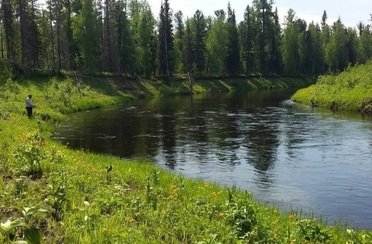Рыбалка по реке Келлог. Фото 11763.