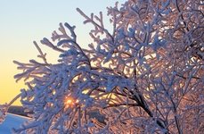 Рыбалка на хариуса зимняя. Фото 11787.