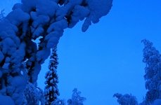 Рыбалка на хариуса зимняя. Фото 11788.