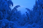 Рыбалка на хариуса зимняя. Фото 11789.