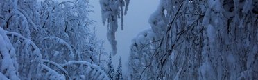 Рыбалка на хариуса зимняя. Фото 11790.