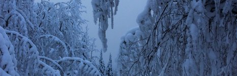 Рыбалка на хариуса зимняя. Фото 11790.