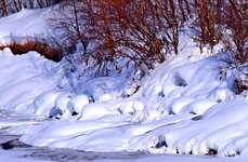 Рыбалка на хариуса зимняя. Фото 11793.