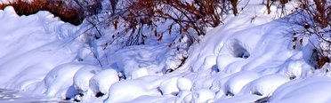 Рыбалка на хариуса зимняя. Фото 11793.
