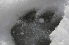 Рыболовные туры на хариуса весенние. Фото 11804.