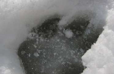 Рыболовные туры на хариуса весенние. Фото 11804.