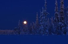Рыбалка на хариуса зимняя. Фото 11813.